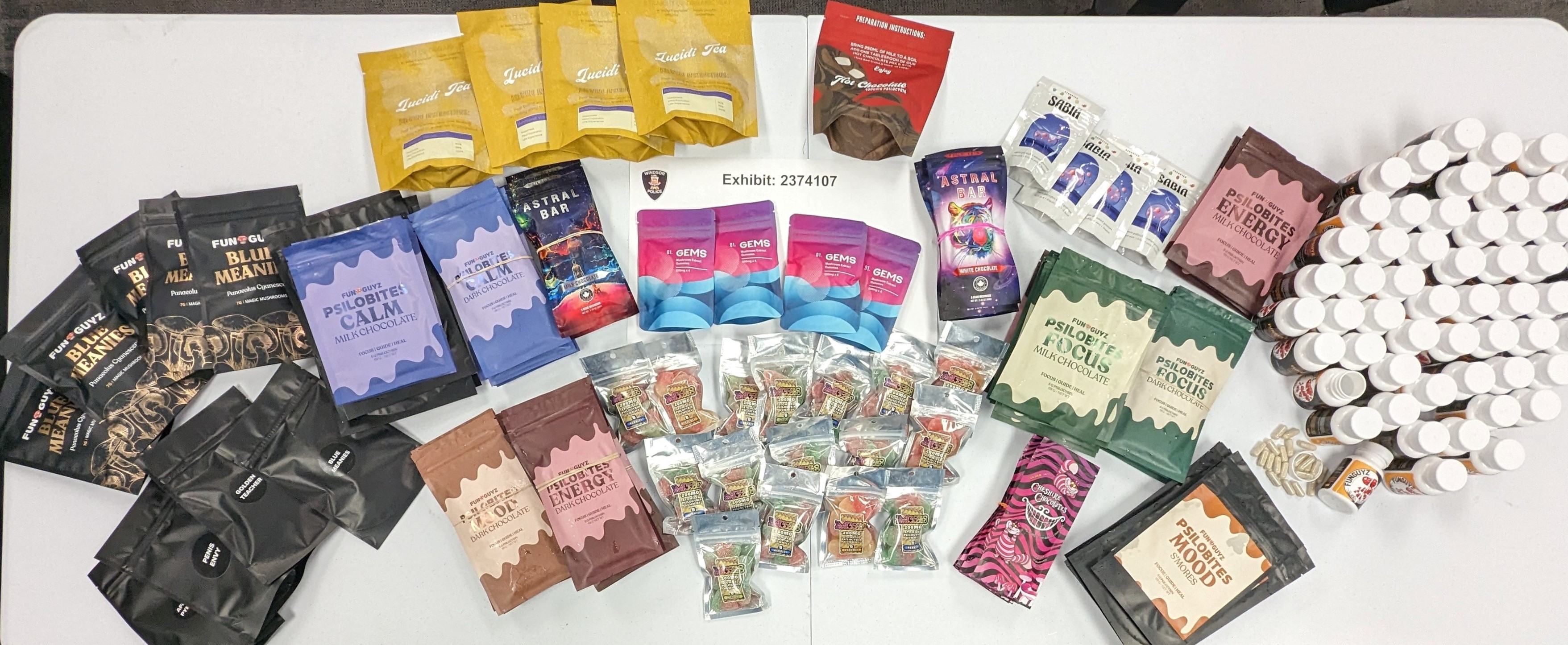 picutre of suspect 1